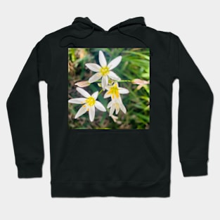 Wilde flower Hoodie